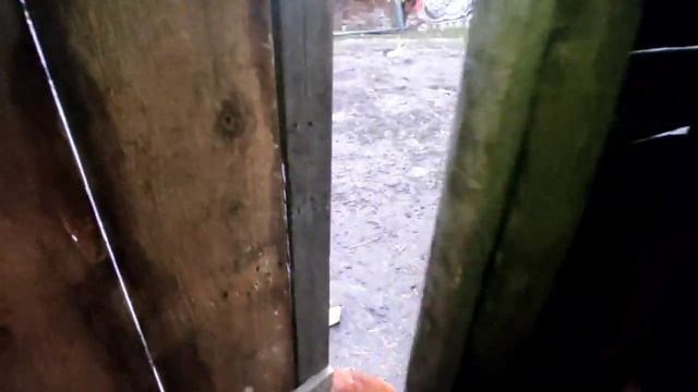 Выходные только снятся!!! смотреть онлайн