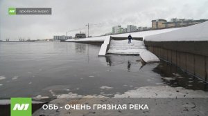 ОБЬ - ОЧЕНЬ ГРЯЗНАЯ РЕКА