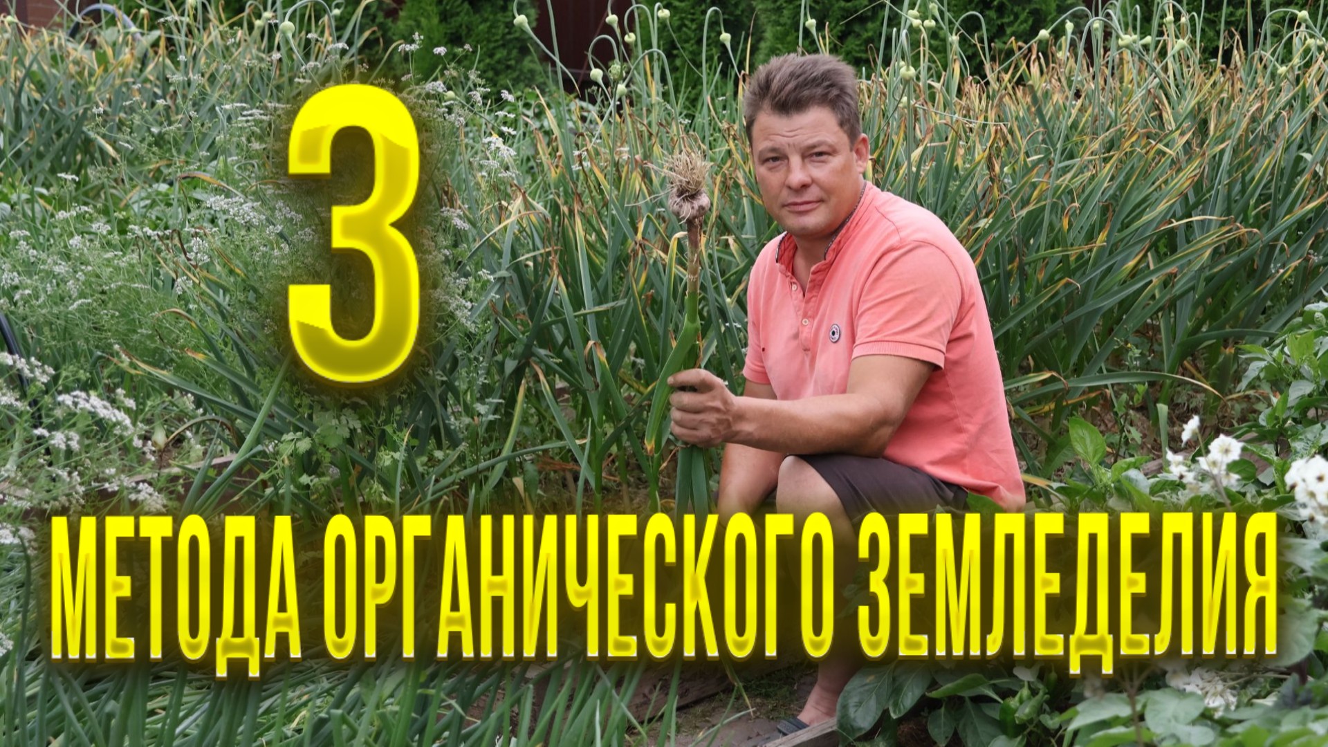 Три основных направления в органическом земледелии и почему они не подойдут для меня