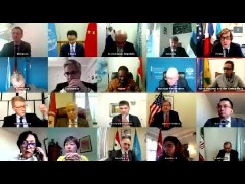 Statement by Amb. Nebenzia at the open VTC of UNSC members on the implementation of resolution 2118