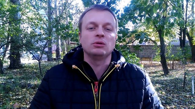 отзывы Автокатализатор