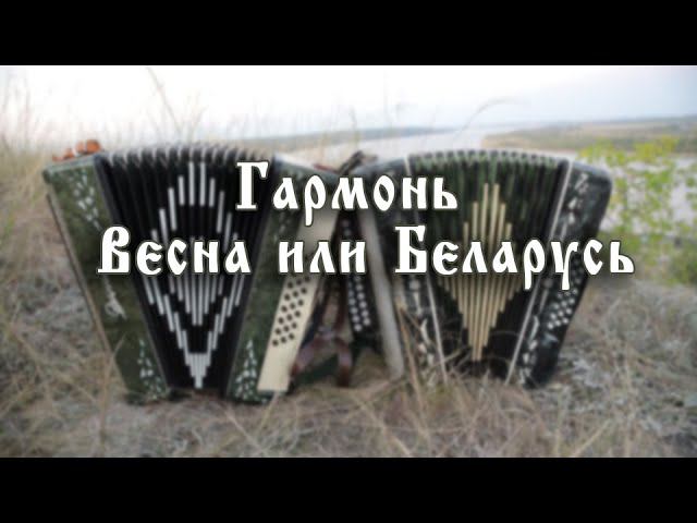 Гармонь Весна и гармонь Беларусь. Какая лучше?