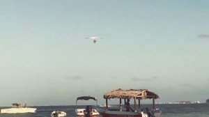 Мой первый полёт на лодке-самолёт