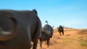 Диностер ДОБРО ПОЖАЛОВАТЬ В ДИНО-МИР часть первая