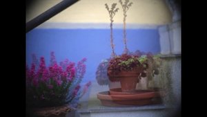 Budget vintage lenses on medium format mirrorless cameras, Hasselblad X1D with Luxon 70-210mm f4-5.