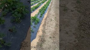 Совмещение работ