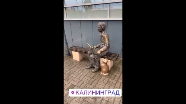 Дмитрий Шилов восхищается красотой Калининграда. Попалась бракованная резина на авто