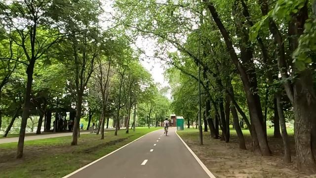 В самолете дочь стюардессы зашла в бизнес-класс и сорвала парик с богача… Поступок матери шокировал смотреть онлайн