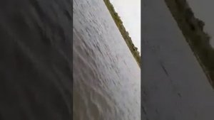 HDX - 2.6 л.с отчет владельца