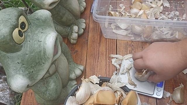 КАК НА ОЗОНЕ ДУРЯТ С ПРОДАЖЕЙ ЧЕСНОКА // ИСТОРИЯ МОИХ КЛИЕНТОВ И МОЙ ОПЫТ