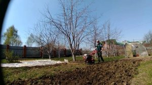 Мотоблок Агат предварительная фрезеровка  целины