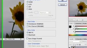 Save an Image as a TIFF File in Photoshop CS3