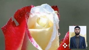 Кори Анас ( Ат - Тагабун (взаимные утраты и награды 1-18))