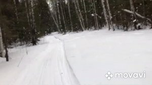 Покатушки по зимнему лесу на снежике ❄️❄️❄️??????#1