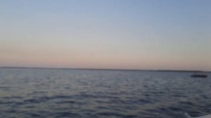 прогресс 2м под хондой 20