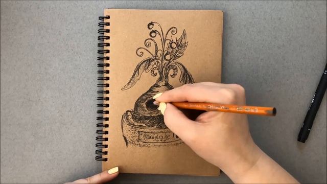 Мандрагора круглоглазая, миловидная. Mandrake. смотреть онлайн