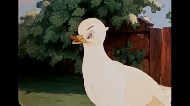 Интересное о птицах. МУК ТР "РДК". смотреть онлайн