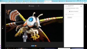 турнир монстров