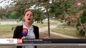 Вместо листьев на деревьях - паутина. Что за насекомые расплодились по всему Армянску?