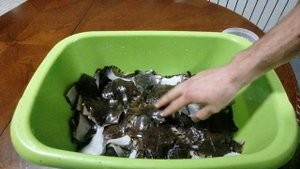 Как посушить рыбу. Сушим мелкую камбалу с Тавричанки. Самый простой способ сушки. Сушёная рыба.