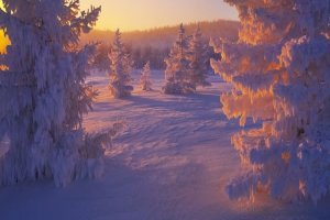 Артём Гельман - Возвращение домой