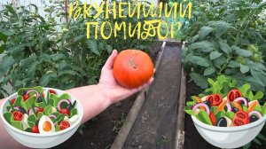 ДОЖДЛИВОЕ ВОСКРЕСЕНИЕ ??? ПЕРВЫЙ БОЛЬШОЙ ?