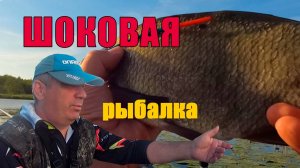 Рыбалка шоковая и это не только лось