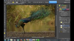 Windows 7 Aero Glass Effect in Photoshop by Ranjith Ramadasan