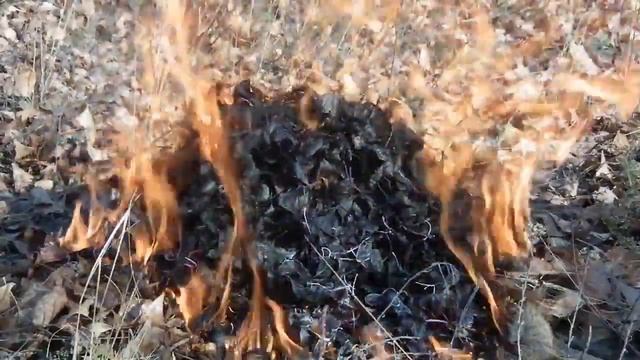 #творчество #хобби #Nina_Mircheva ФУТАЖ ОСЕННИЕ ЛИСТЬЯ ОГОНЬ смотреть онлайн