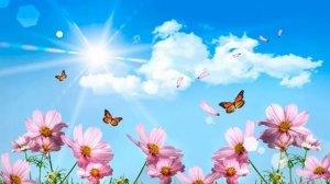 Гайдар. Солнечный зайчик. (кавер).