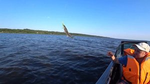 Летняя рыбалка в хорошей компании