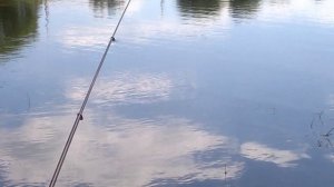 В реку смотрятся облака.mp4