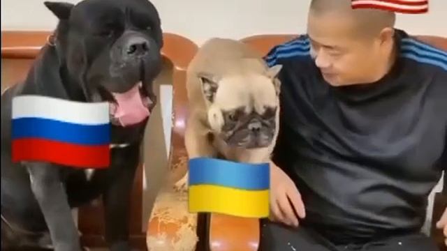 Какая точная параллель