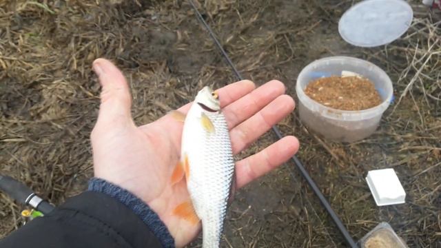 Рыбалка На Фидер. Рыбалка на поплавок. Ловля плотвы на фидер. Крупный карась на фидер. смотреть онлайн