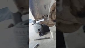 Как без проблем снять шаровую опору передней стойки авто