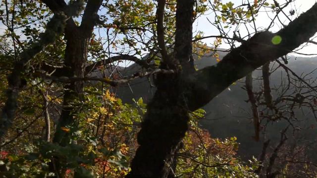 Обзор осени. Ноябрь поход смотреть онлайн