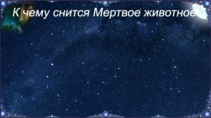 К чему снится Мертвое животное (Сонник)