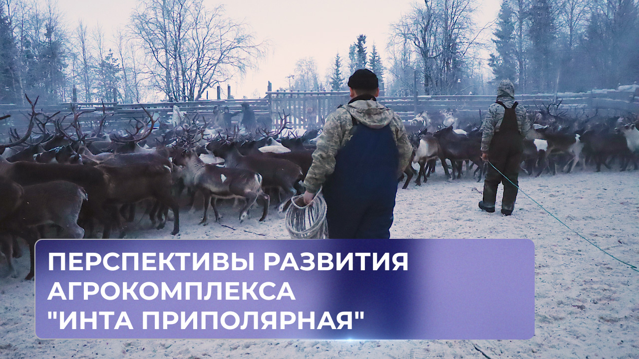 Перспективы развития Агрокомплекса "Инта Приполярная"