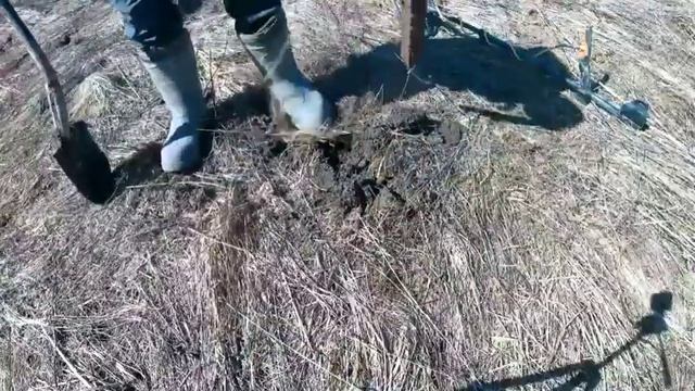 Целый прицеп металлолома.Коп металлолома в старой деревне. смотреть онлайн