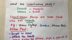 Insectivorous Plants [Grade 4] कीटभक्षी पोधे |Babbar Studypool