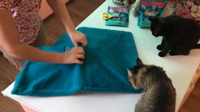 ОБЗОР ПОДАРКА ОТ PURINA ONE ✅ LOUNGER FOR A CAT