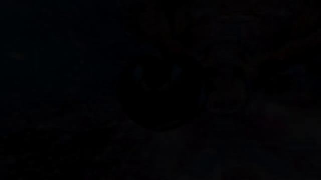 23. Где находится душа человека? Вы готовы к этому знанию? смотреть онлайн