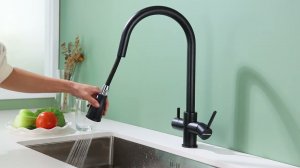 Смеситель Paulmark Lange La214212-418, под фильтр, с выдвижным шлангом, черный металлик