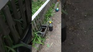 Джили СК, снимаем пластиковые пороги