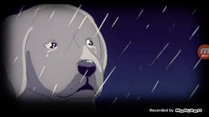 Очень грустный мультик про собаку!