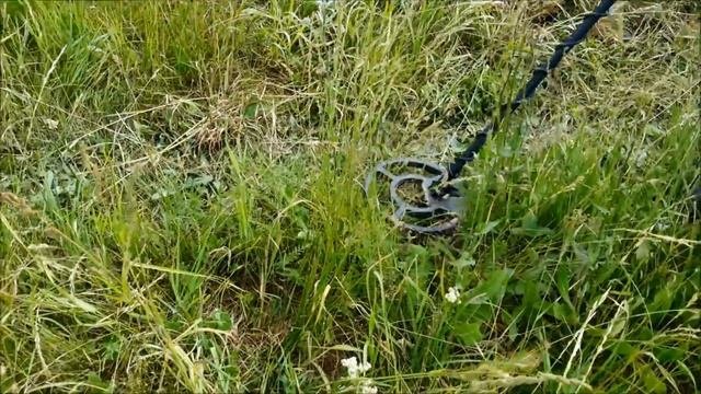 Приборный поиск в Башкирии.Металлоискатель Whites TreasureMaster. Видео коп.
