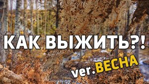 КАК ВЫЖИТЬ ВЕСНОЙ? ОТВЕТ В ЭТОМ ВИДЕО!