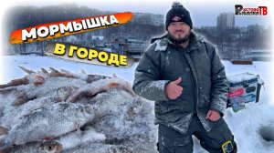 Зимняя мормышка в городе.Ловля и поиски рыбы на гребном канале мормышкой с мотылем.