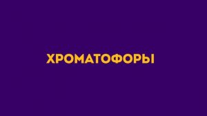 Как ХАМЕЛЕОН меняет цвет?
