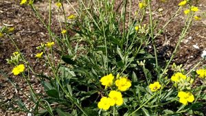 Бархатный сезон в Дагестане - летнее солнце, теплое море... | сентябрь 2021, Каспийск